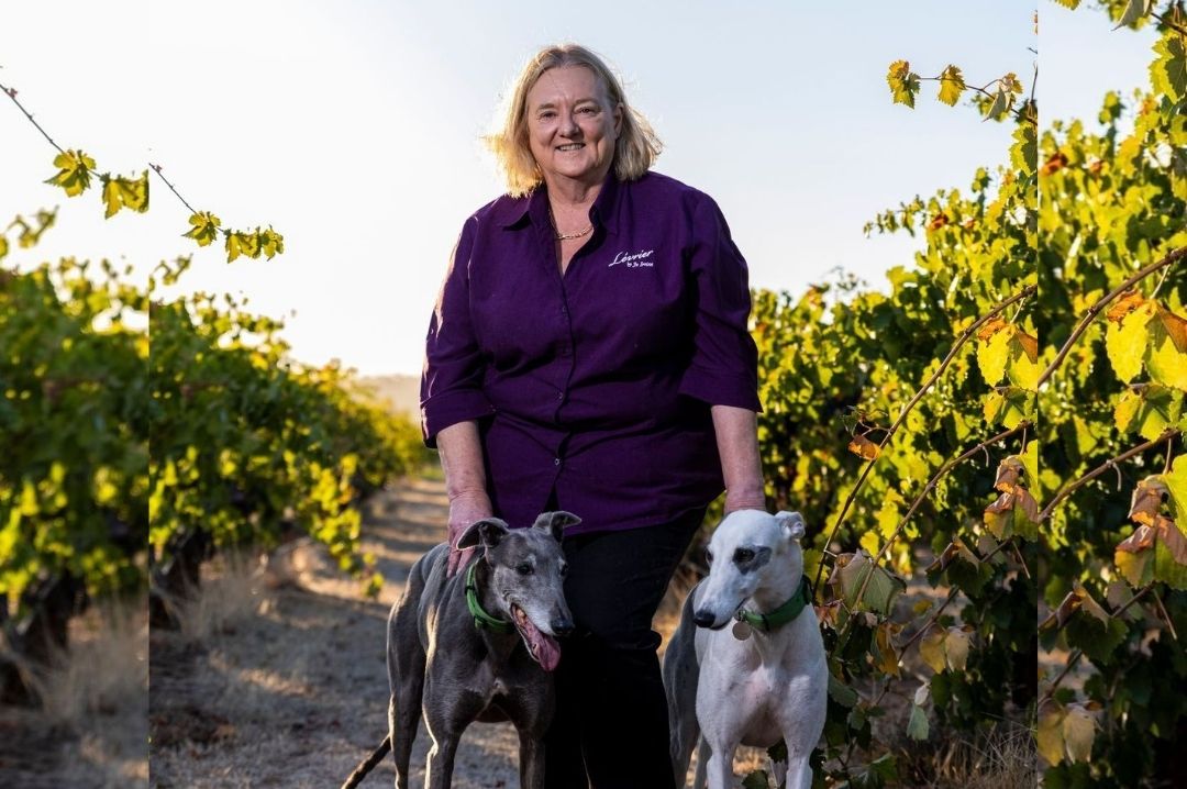 Jo Irvine with her Greyhounds jo_irvine_with_greyhounds