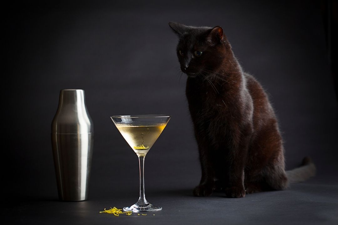 The Islay Martini the_islay_martini