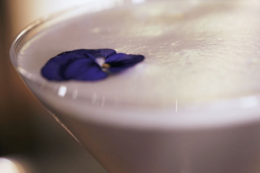 The Purple 72 Purple_72_cocktail