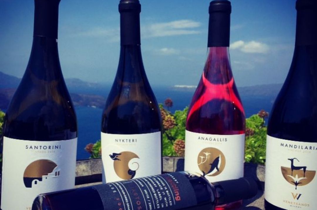 Wines Wines