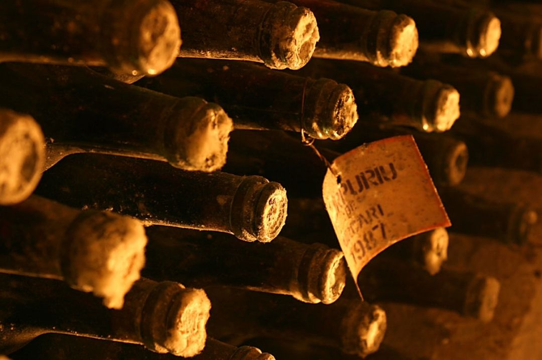 Foundation 