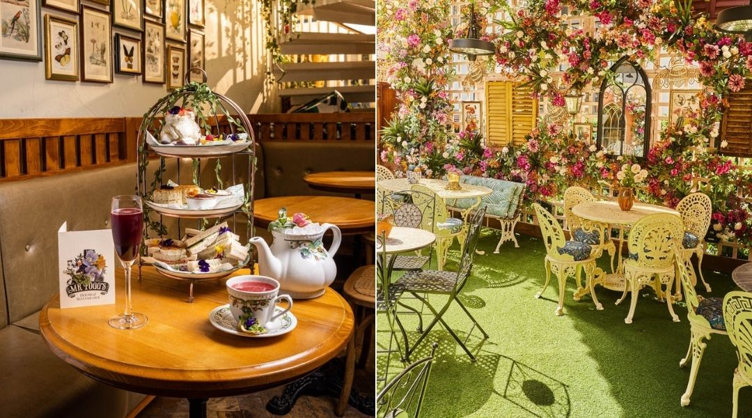 Mr Fogg’s House of Botanicals Mr Fogg’s House of Botanicals