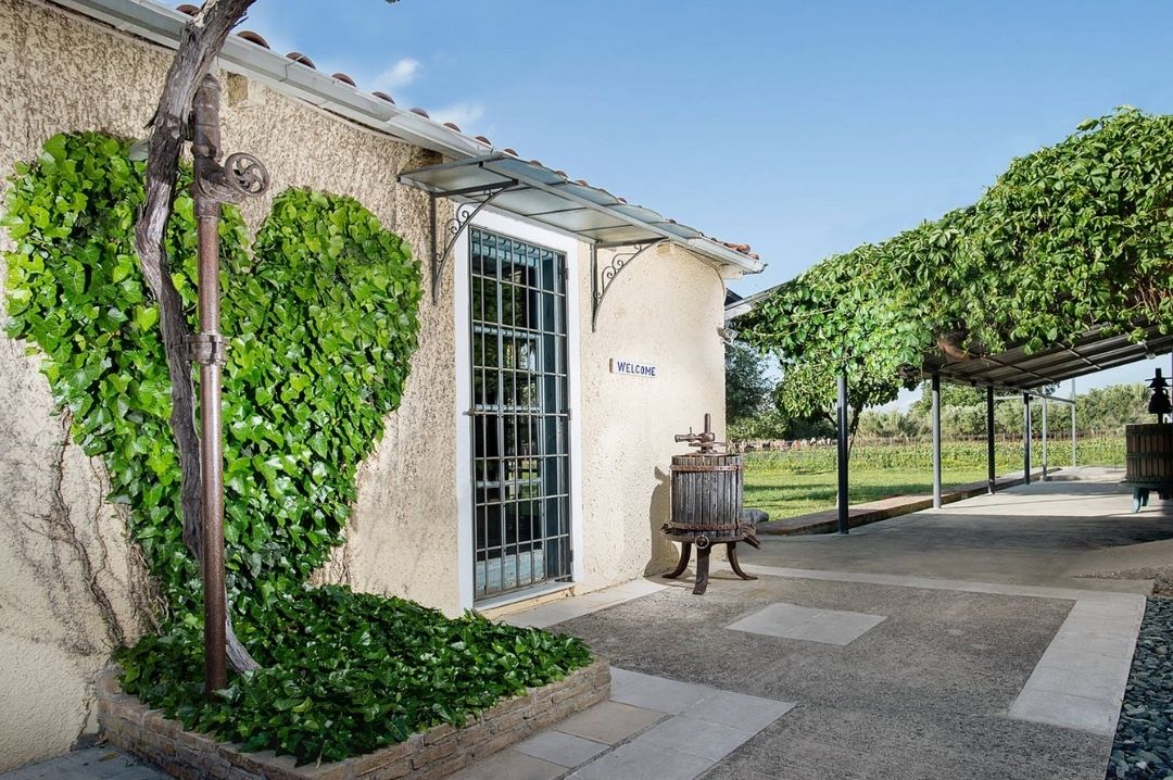 A Winery that became a Livelihood orfanos_estate_greece