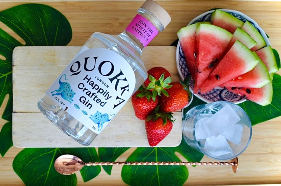 Watermelon Gin Punch Watermelon Gin Punch