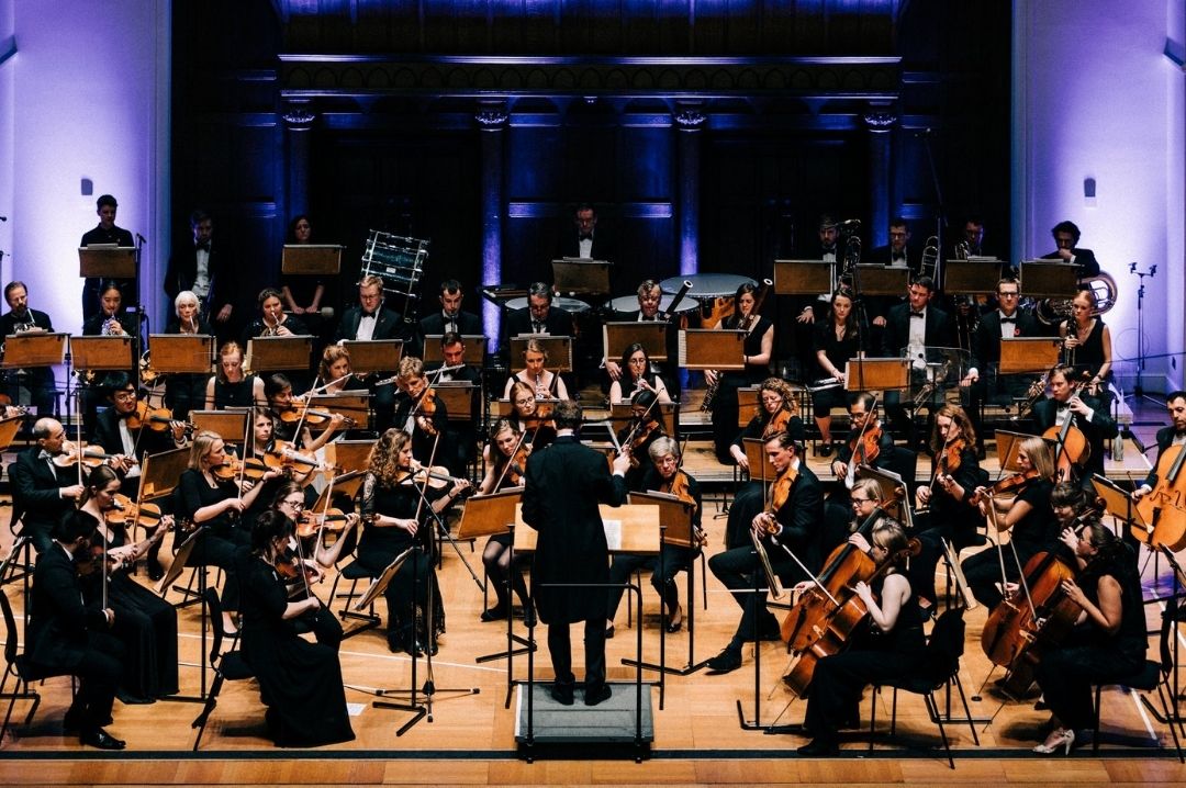 The Pico Players orchestra thepicoplayersautumnconcert londonnovemberevents